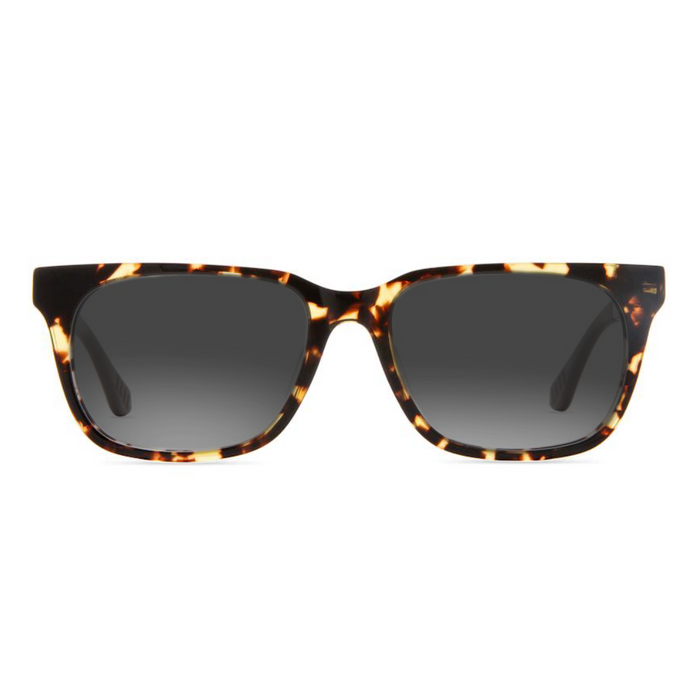 Lentes de Sol Helecho