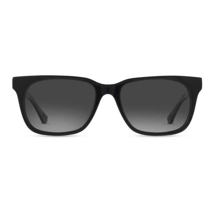 Lentes de Sol Helecho