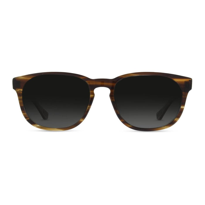 Lentes de Sol Sauce