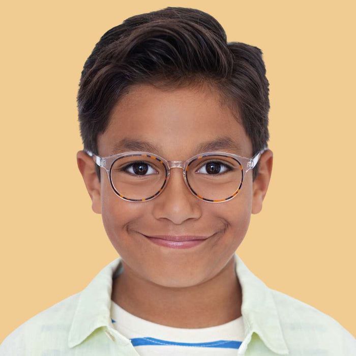 Armazón Olivo