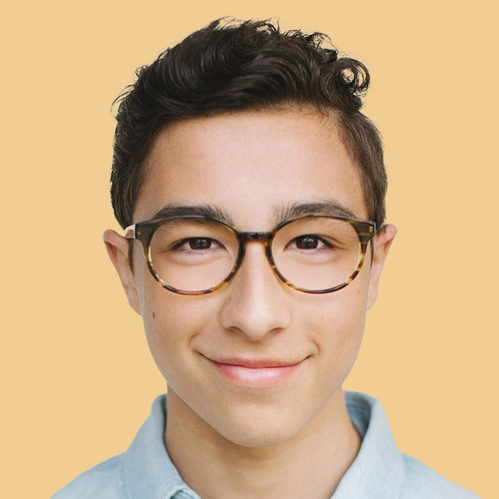 Armazón Olivo