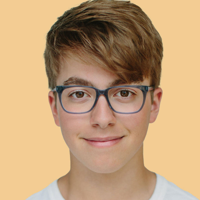 Armazón Helecho